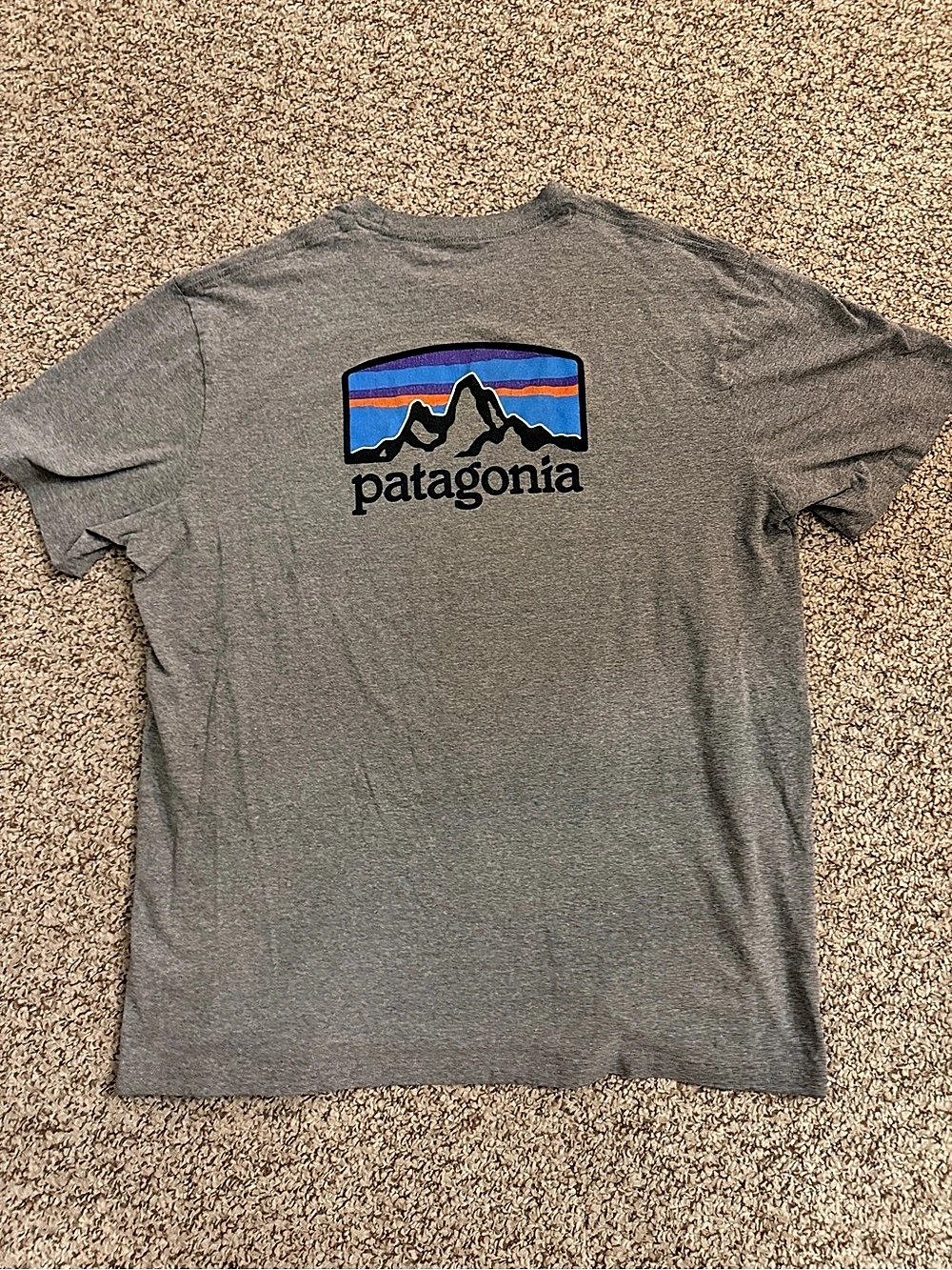 Patagonia Fitz Roy Horizons Responsibili-Tee Logo Gray Like New